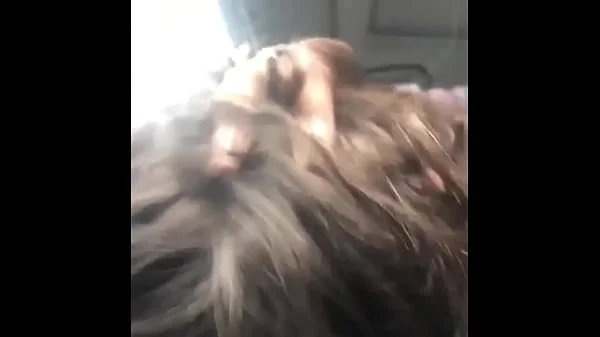 Training my Lesbian Bestfriend To Suck My Cock on Car Rides